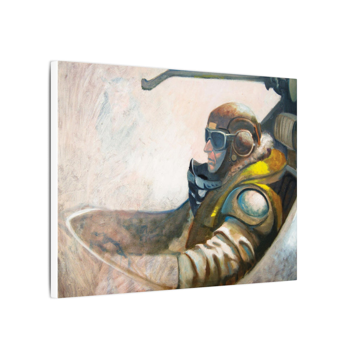 Meta Flyboy / Matte Canvas