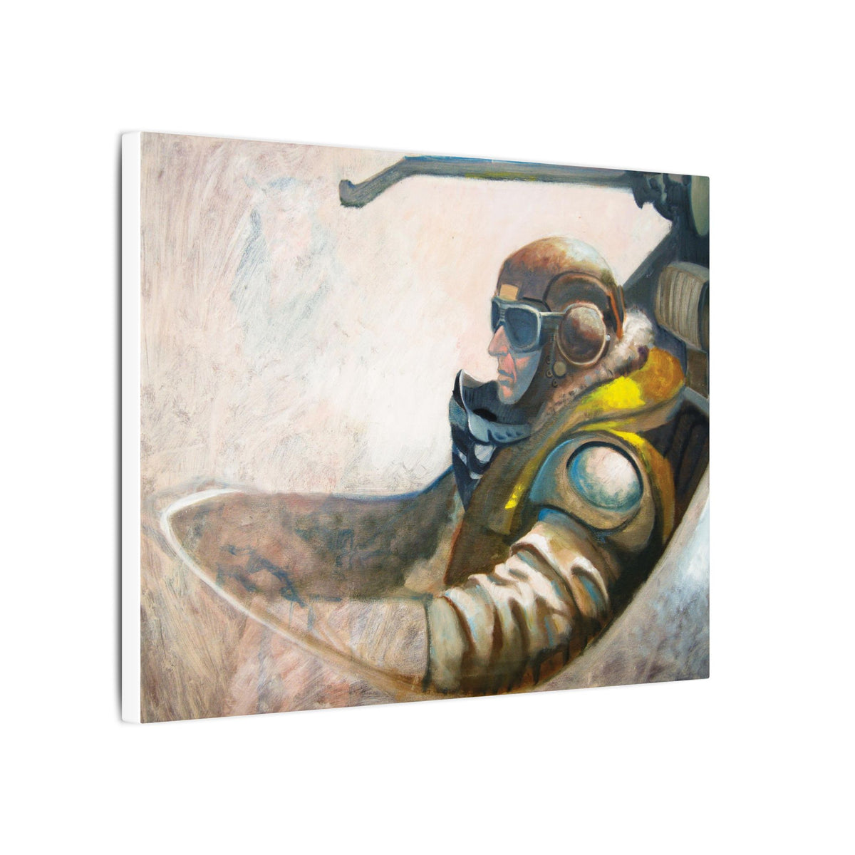 Meta Flyboy / Matte Canvas