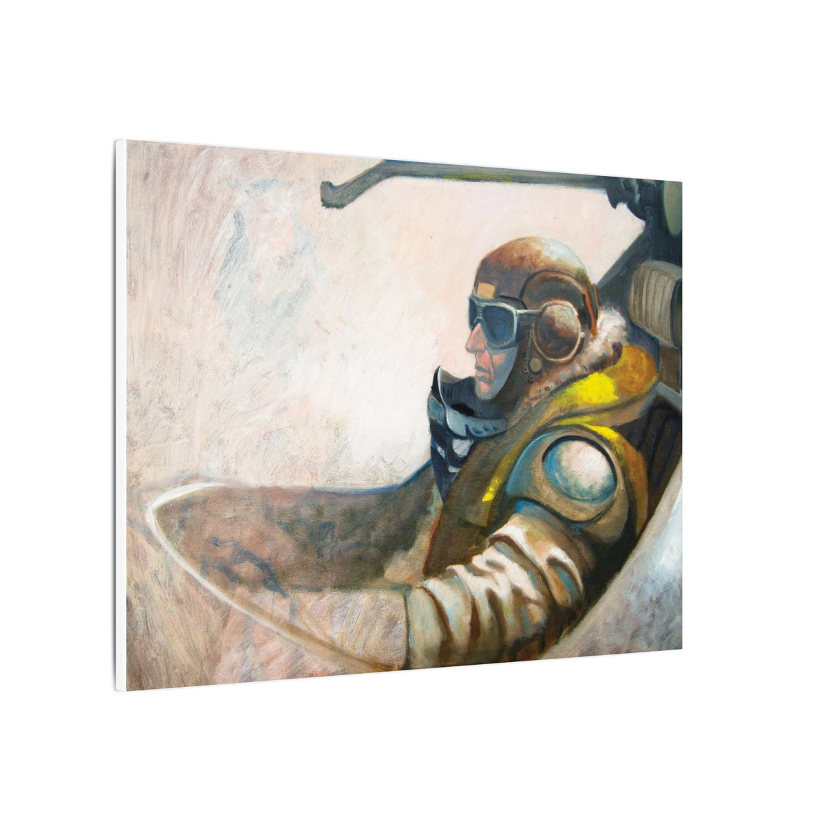 Meta Flyboy / Matte Canvas